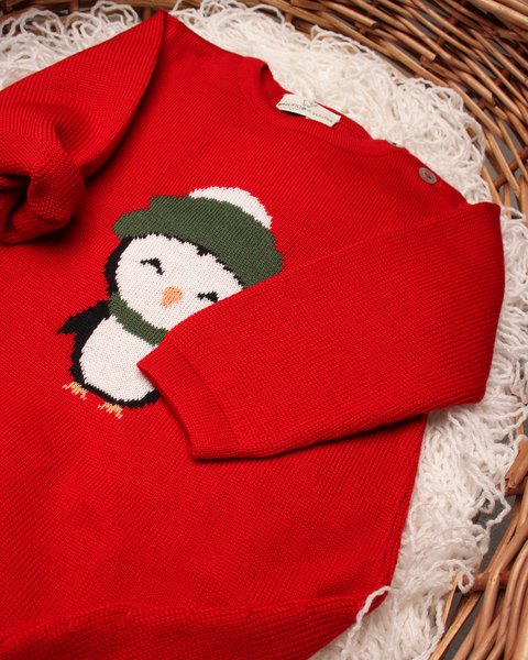 Pure merino wool extrafine